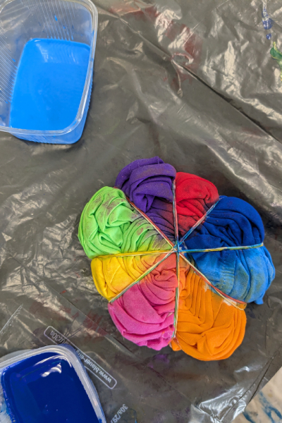 CSD 02
